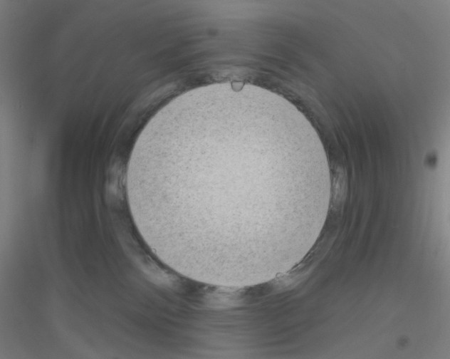 X0000116790138201001291527