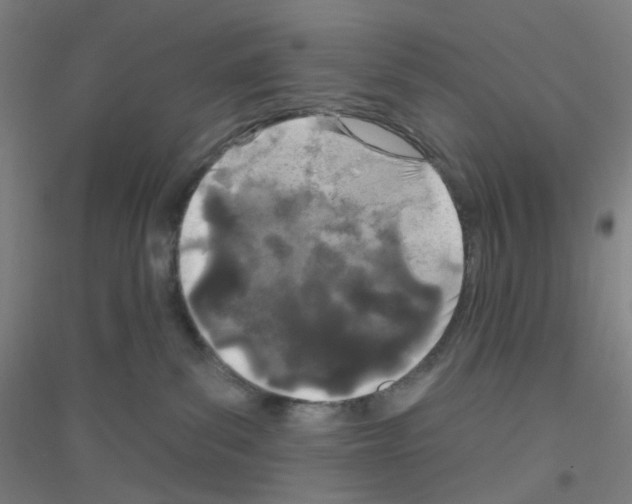 X0000116790139201001291527