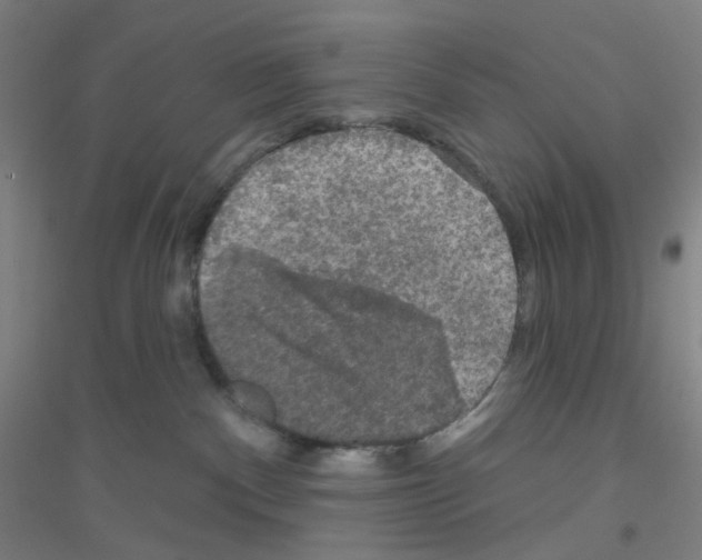 X0000116790140201001291527