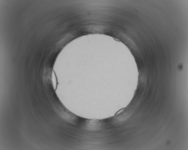 X0000116790141201001291527
