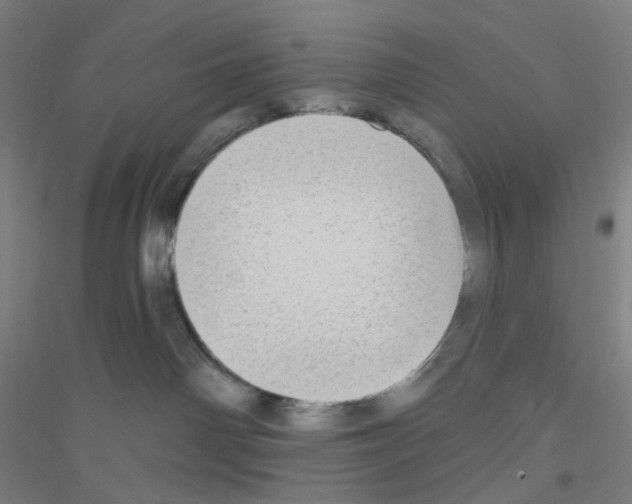 X0000116790142201001291527
