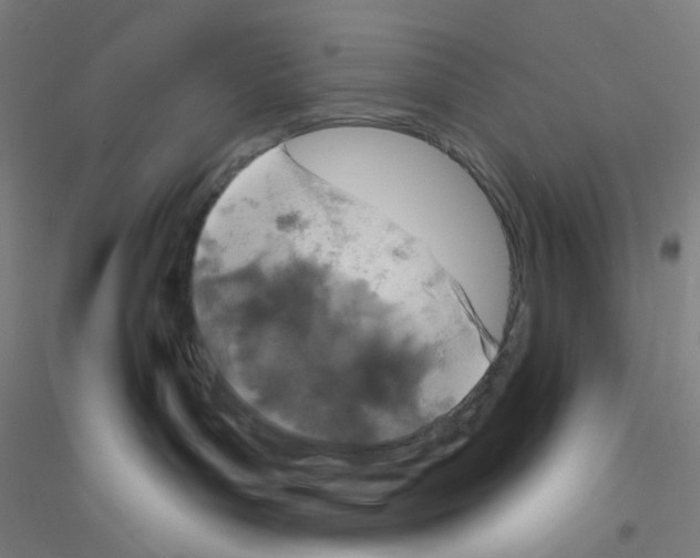X0000116790143201001291527