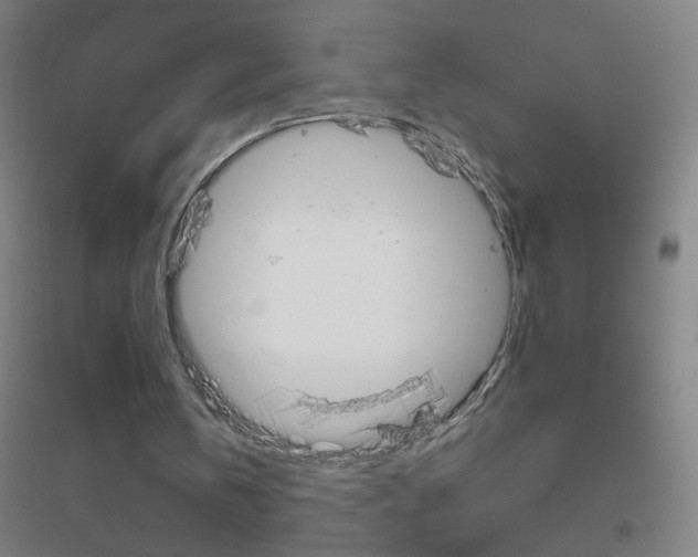 X0000116790146201001291526