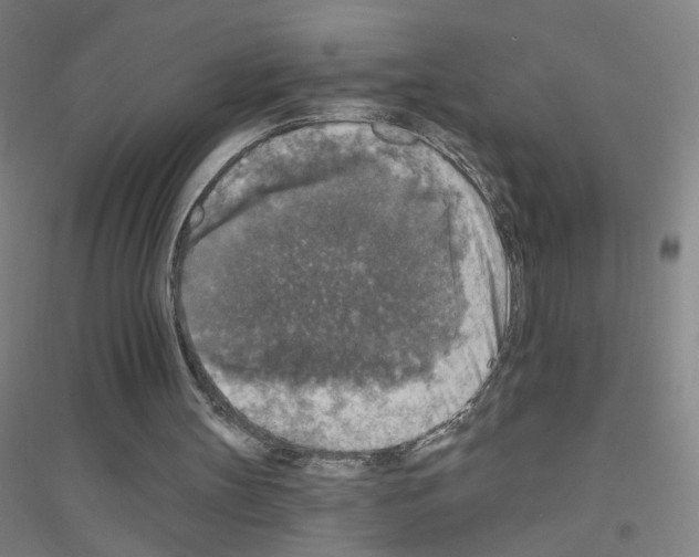X0000116790147201001291526