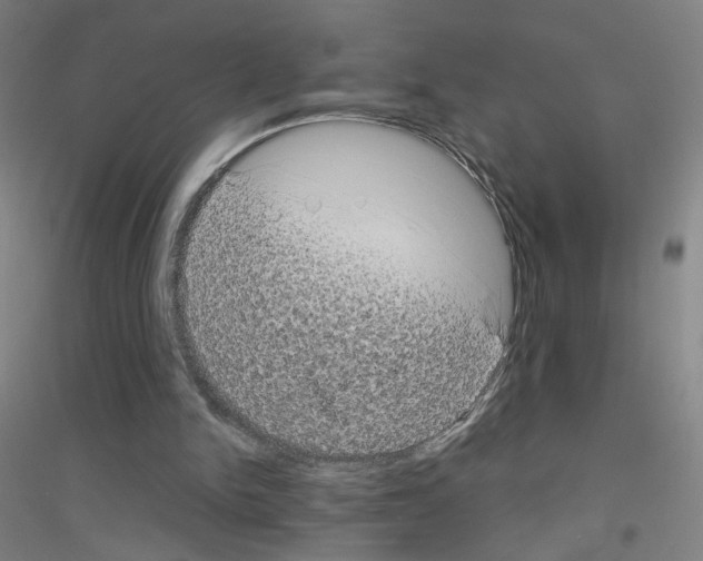 X0000116790150201001291526