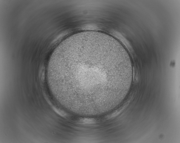 X0000116790157201001291526