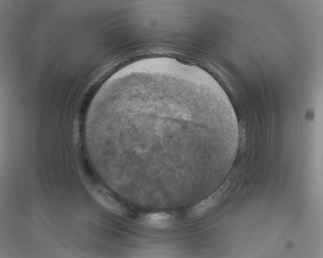 X0000116790158201001291526