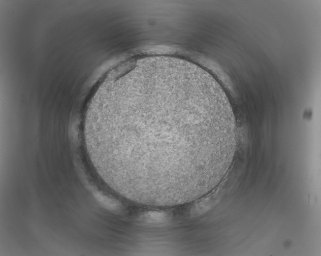 X0000116790159201001291526
