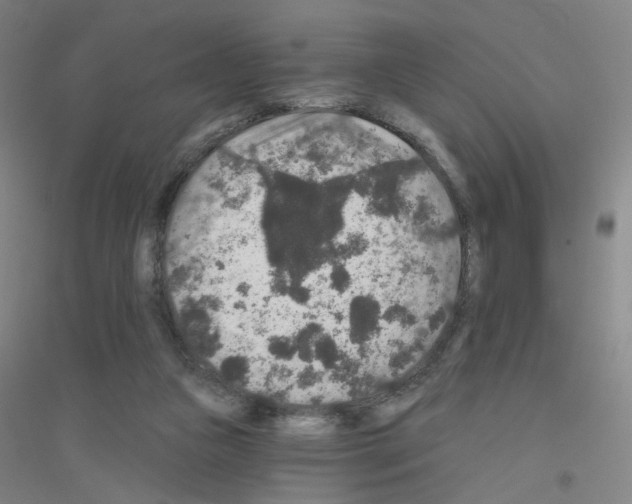 X0000116790161201001291526