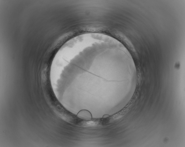X0000116790163201001291526