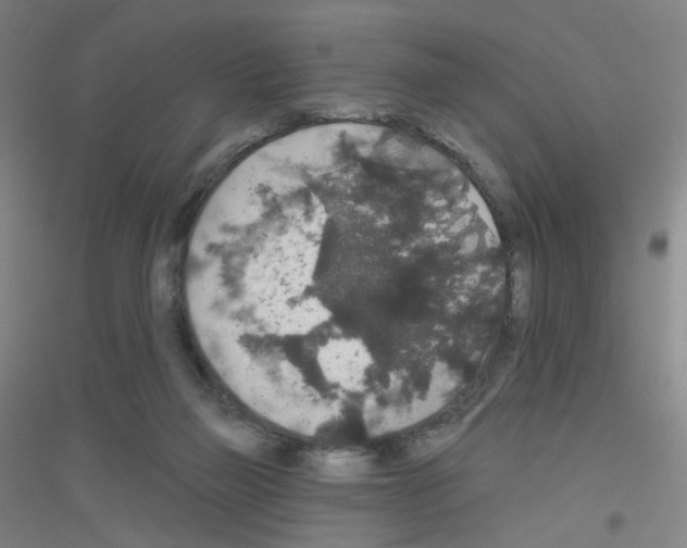 X0000116790165201001291526