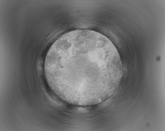 X0000116790166201001291526