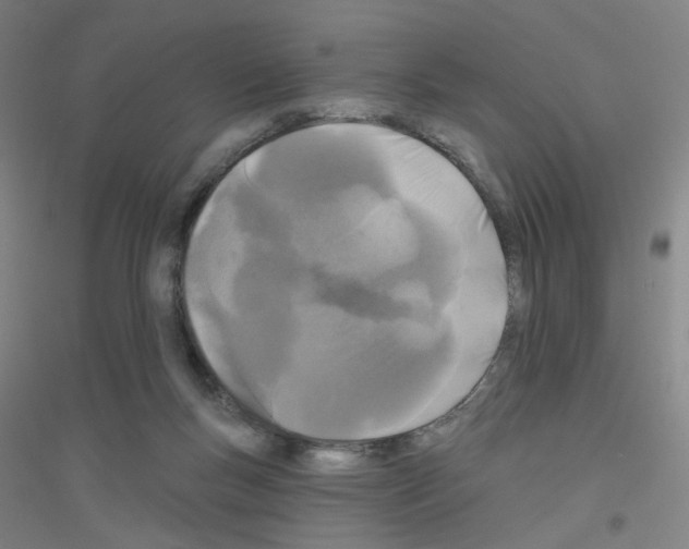 X0000116790167201001291526