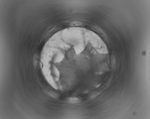 X0000116790169201001291526