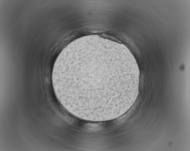 X0000116790170201001291526