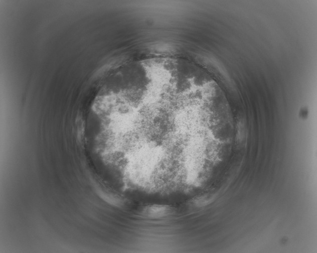 X0000116790173201001291526