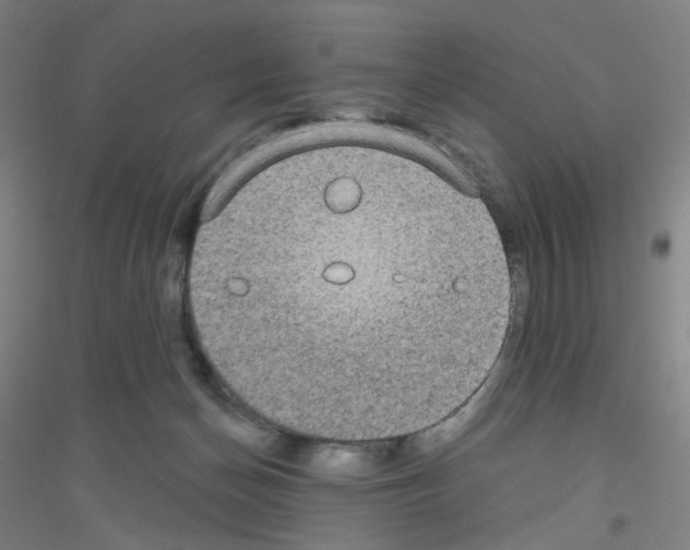 X0000116790174201001291526