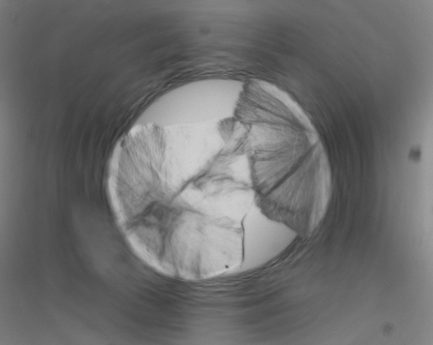 X0000116790177201001291526