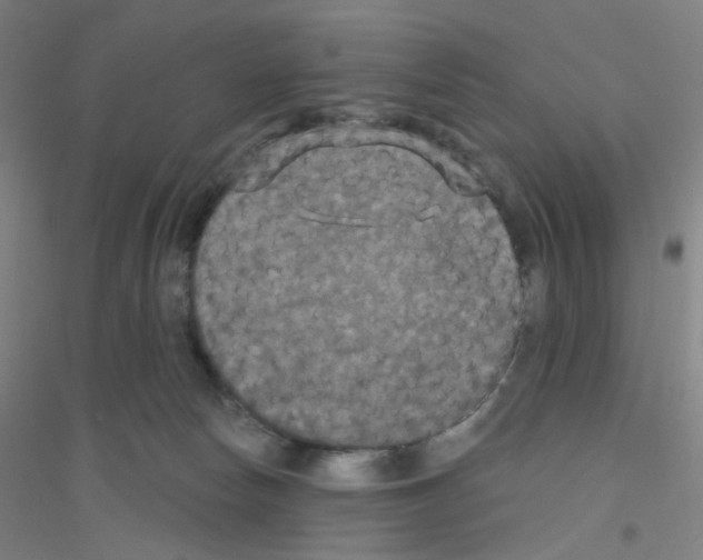 X0000116790178201001291526