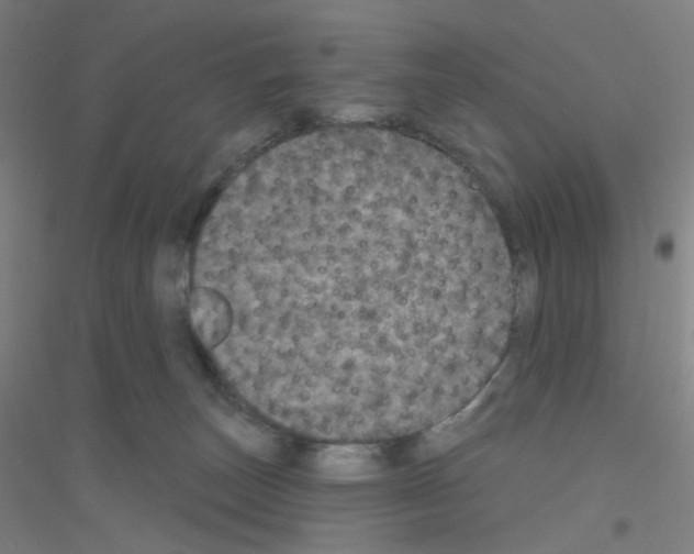 X0000116790179201001291526