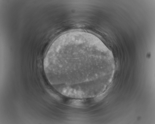 X0000116790182201001291527