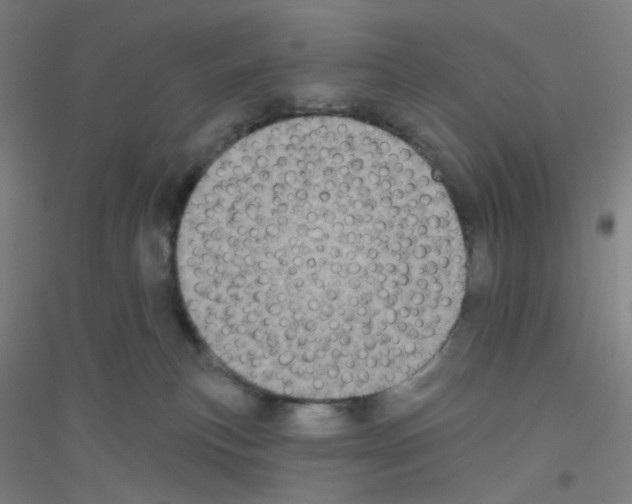 X0000116790183201001291527