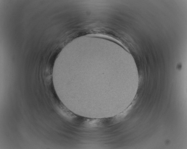 X0000116790186201001291527