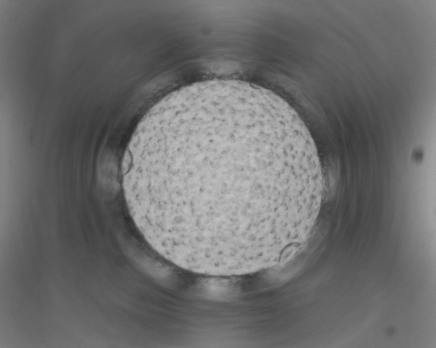 X0000116790187201001291527