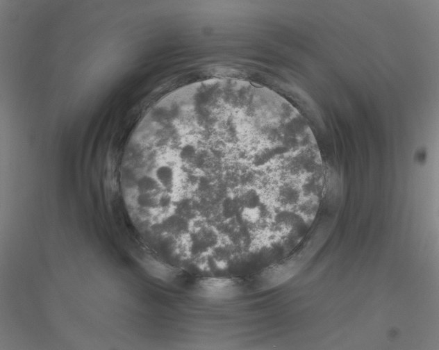 X0000116790189201001291527