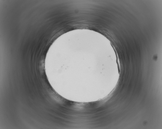 X0000116790190201001291527