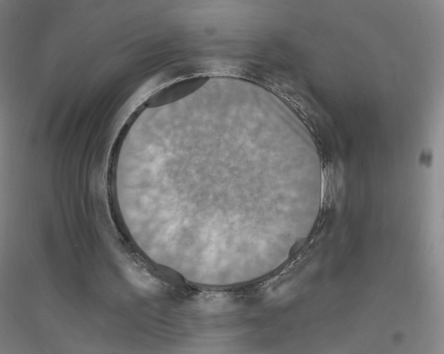 X0000116790195201001291526