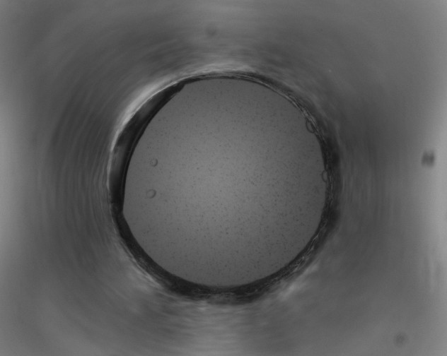 X0000116790196201001291526