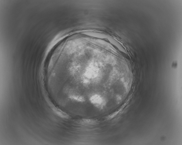 X0000116790198201001291526
