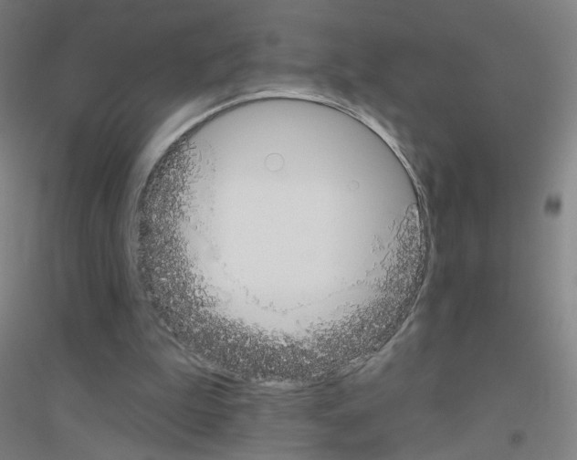 X0000116790199201001291526