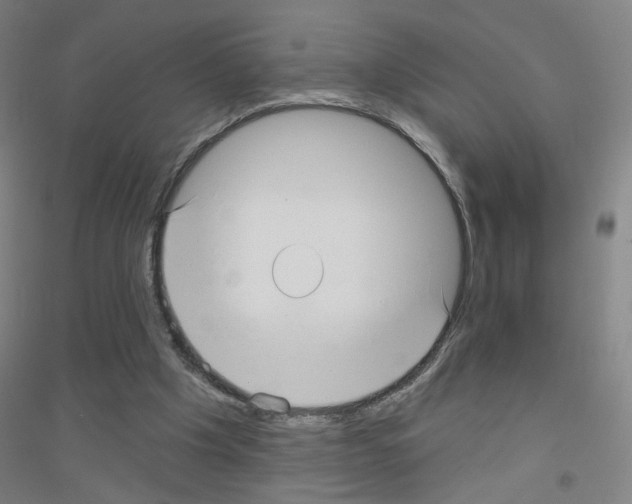X0000116790201201001291526