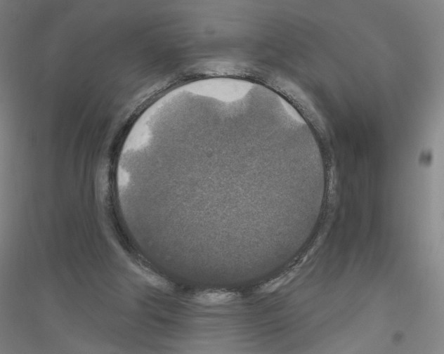 X0000116790202201001291526