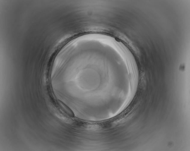 X0000116790203201001291526
