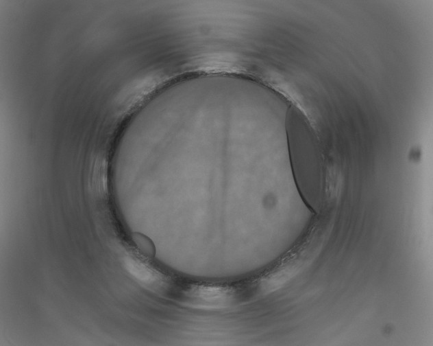 X0000116790205201001291526