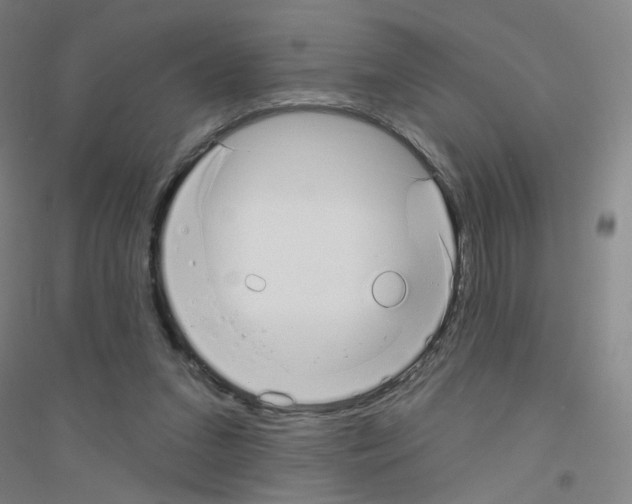 X0000116790207201001291526