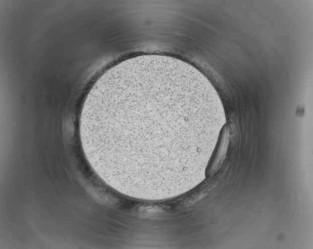 X0000116790208201001291526