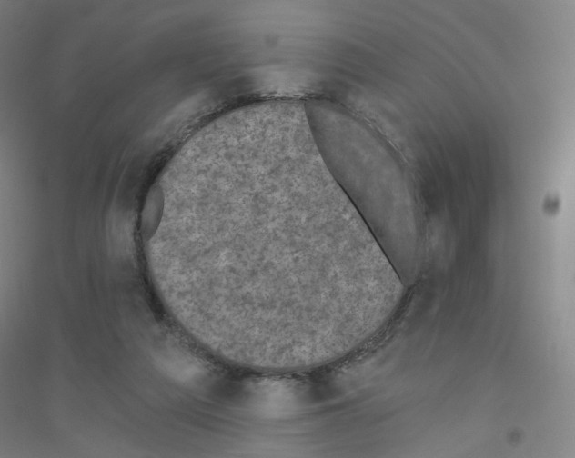 X0000116790209201001291526