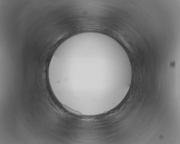 X0000116790211201001291526