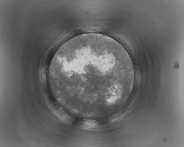X0000116790214201001291526