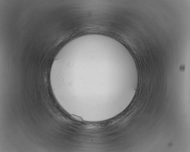 X0000116790215201001291526