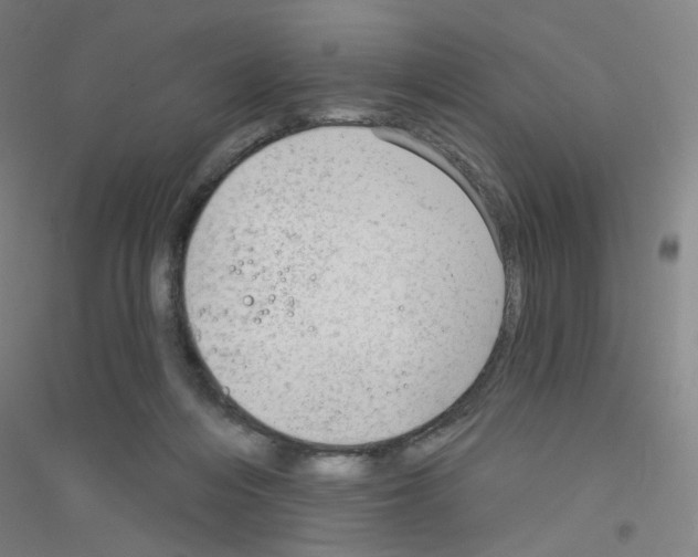 X0000116790216201001291526
