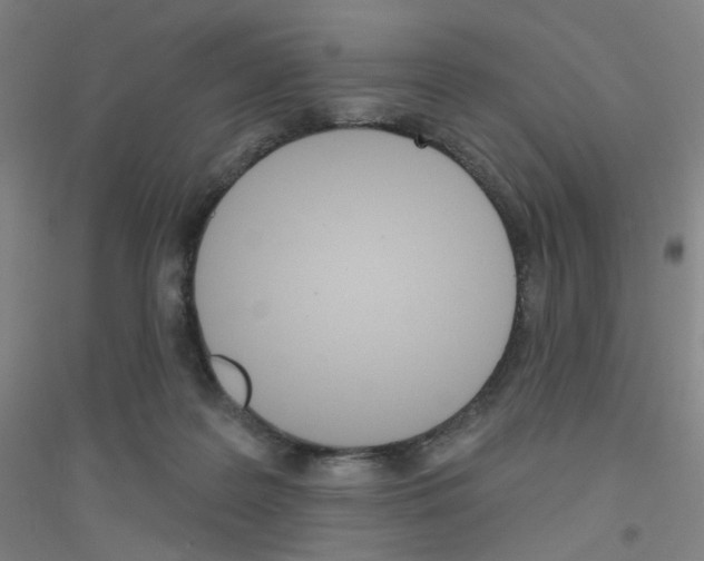 X0000116790219201001291526