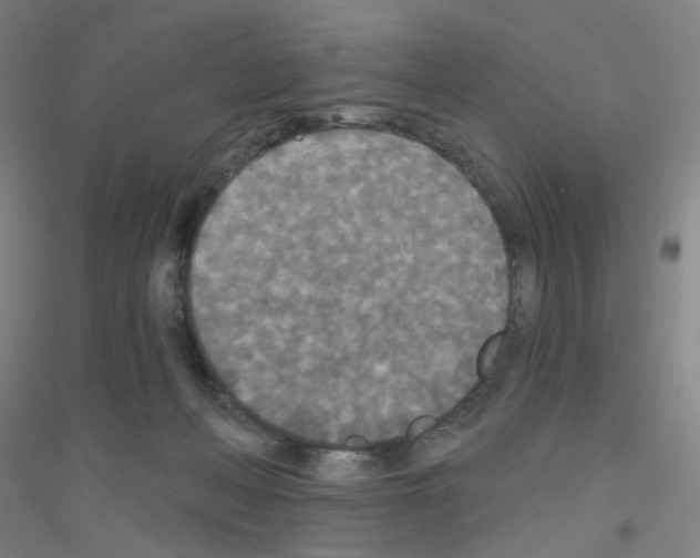 X0000116790222201001291526