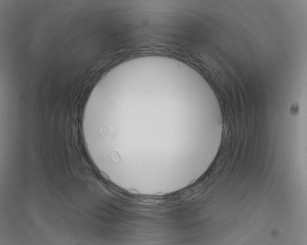X0000116790223201001291526