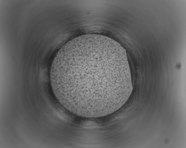 X0000116790224201001291526