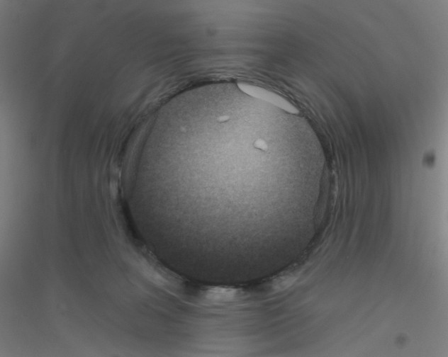 X0000116790227201001291526